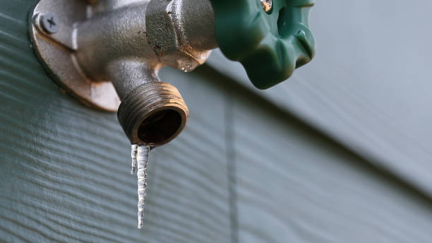 Best Plumbing Services Near Me  in Ishpeng, MI